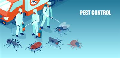 Explore Biochem pest control service in Trichy