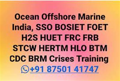 BOSIET, #HUET #FOET, H2S #HLO #FRC #PSCRB, HFF, #HDFF #STCW 2010 Etc. India