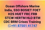 BOSIET, #HUET #FOET, H2S #HLO #FRC #PSCRB, HFF, #HDFF #STCW 2010 Etc. India