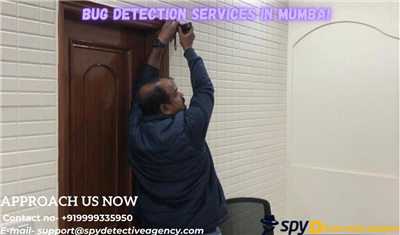 Bug  Detection Services in Delhi