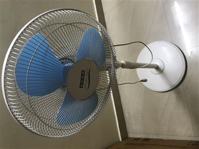 Pedestal Fan