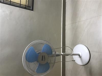 Pedestal Fan