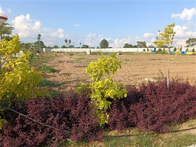 #Vasudaika Henleywoods-Premium Villa Plots For sale In Gollur#Statue Of Equality