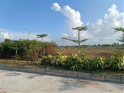 #Villa Plots for sale In Gollru #Statue Of equality #Bangalore Highway - Hyd