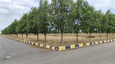 Open Plots for sale In Nandhiwanaparthy - Yacharam #Srisailam Highway -HYD