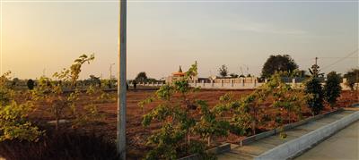 #Premium Open Plots for sale In Gollur #Statue Of equality #Shamshabad-Hyderabad