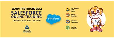 AlmaMate Info Tech - Best Salesforce Training in Noida